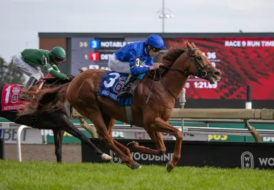 Notable Speech makes point in Woodbine Mile, gains berth in BC Mile