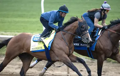 Kentucky Derby 2026: Potente puts Baffert center stage with blazing five-furlong blowout