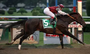 Bernardini continues to make mark as broodmare sire