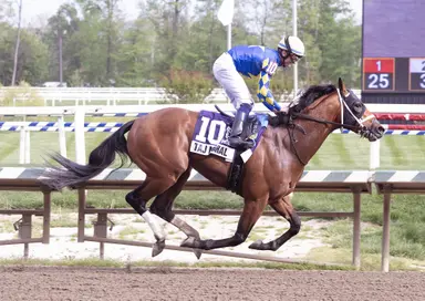 Taj Mahal has spot in Preakness after Federico Tesio victory