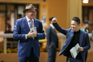 David Hayes snares third DBS x Manulife Million Challenge with Romantic Son