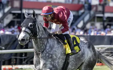 Stakes-caliber trio lock horns in classy allowance