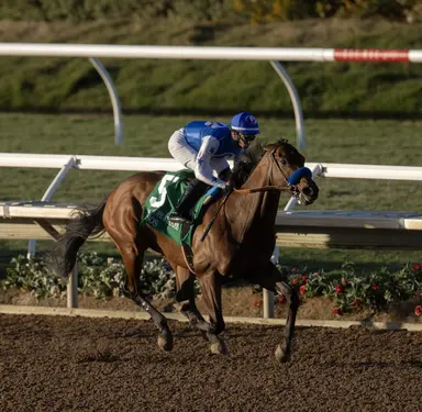 Nysos made 4-1 top choice in first Preakness Future Wager pool