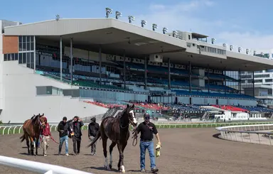 Woodbine cancels Thursday races due to sewer leak