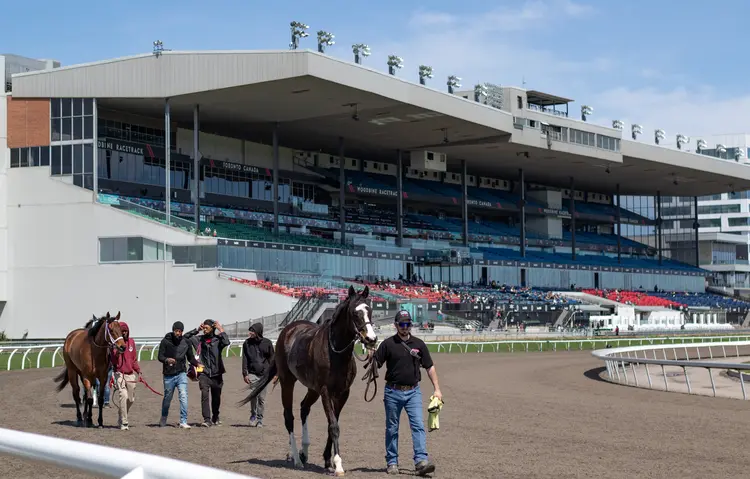 Woodbine Scenic10.04-26-26.JUW
