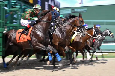 DRF's Horse Racing Playbook for Saturday, July 11, 2026