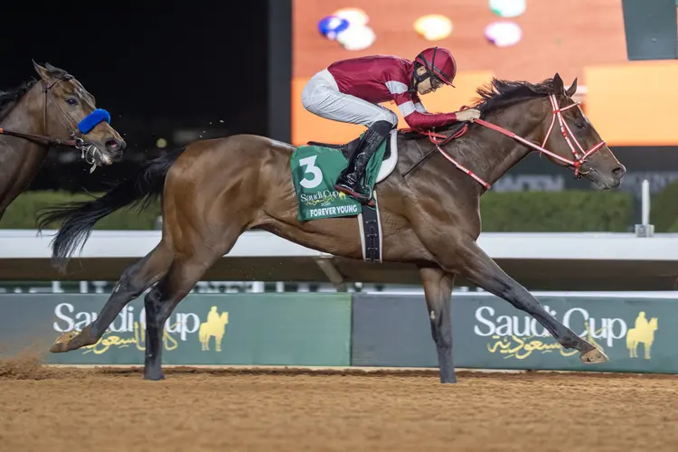 RS43621_Forever Young_Saudi Cup_21426_King Abdulaziz Racecourse_Riyadh Saudi Arabia_ Mathea Kelley-JCSA.jpg