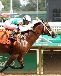 Deep Flame impresses with Maxfield Stakes romp