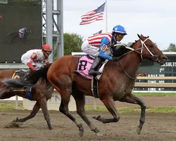 Stradale shows he's at home on dirt with Gallant Bob triumph