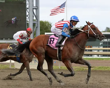Stradale shows he's at home on dirt with Gallant Bob triumph