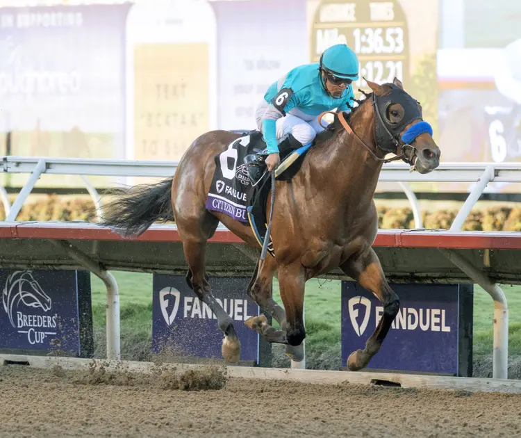 Eclipse Awards Citizen Bull
