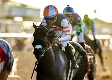 Next stop Breeders’ Cup for Iron Man Cal, Test Score