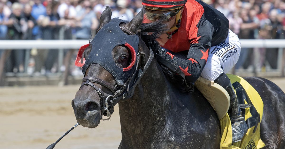 Doc Sullivan back sprinting against statebreds in John Morrissey