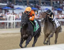 Velora has Frizette on the radar after Seeking the Ante win