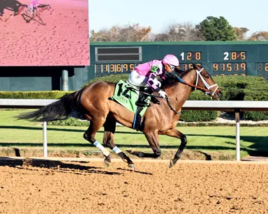 Money Run gets a chance to go even longer in Golden Horseshoe