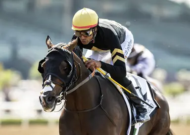 Brad Free's Del Mar Horses to Watch for Aug. 22-25, 2024