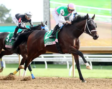 Idiomatic traces to Juddmonte's beginning