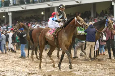 Kentucky Derby 2025: Journalism's camp offers no excuses for runner-up finish