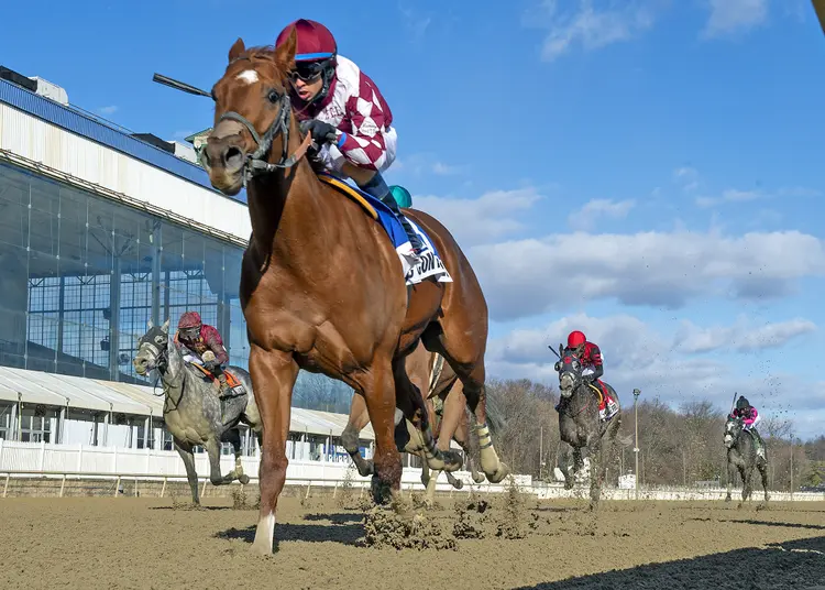 Celtic Contender01.12.21.24.JDZ_.jpg