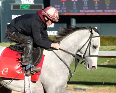 Kentucky Derby pedigree profile: Sandman