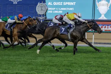 Dubai: Native Approach ($64.50) springs upset in Al Quoz Sprint