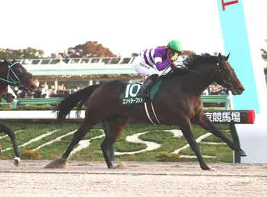 Tokyo stakes could have Breeders' Cup, Kentucky Derby implications