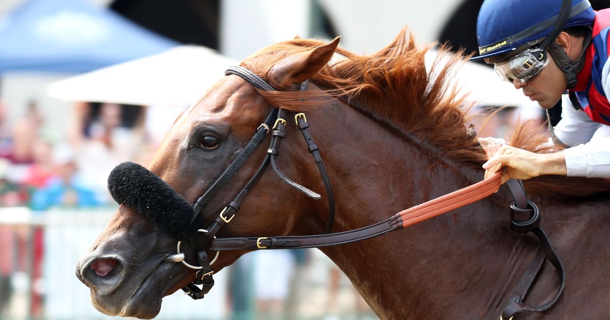 Igniter dominates one-mile Ellis Park Derby