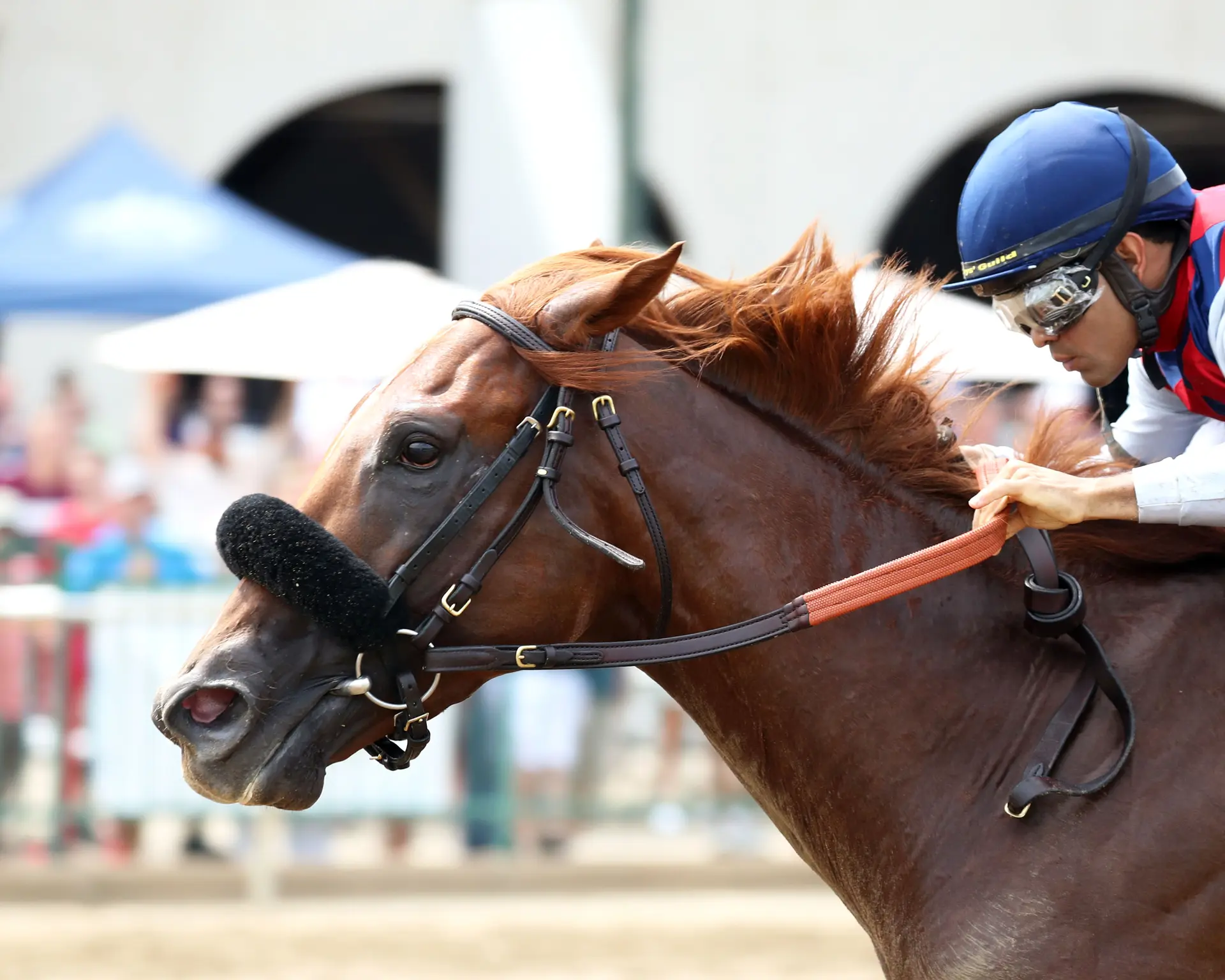 Igniter dominates one-mile Ellis Park Derby