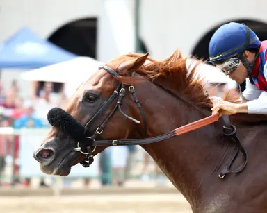 Igniter dominates one-mile Ellis Park Derby