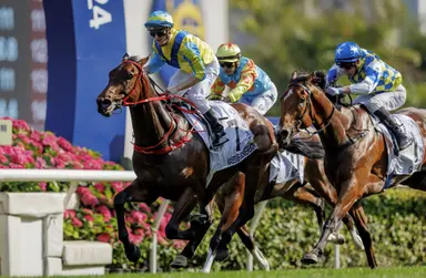 Massive Sovereign rises for Standard Chartered Champions & Chater Cup