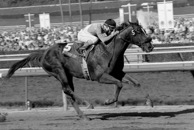 Randy Winick, trainer of Brocco and other stakes winners, dies at 76