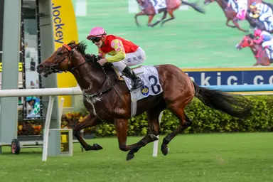 My Wish seeks top billing in BOCHK Private Wealth Jockey Club Mile
