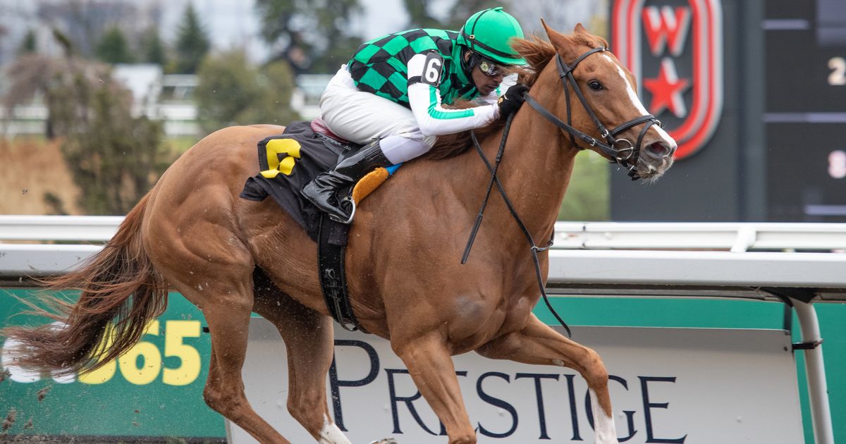 Sipping History could have tactical edge in turf dash