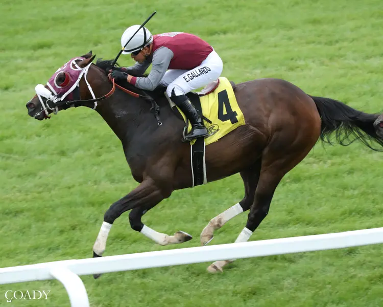 KNICK'S HONOR - Canterbury Derby - 06-27-26 - R05 - Canterbury Park - Inside Finish