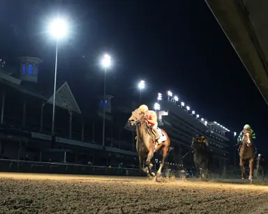 Kentucky Derby: Beckman looks to put his classic experience to good use with Honor Marie
