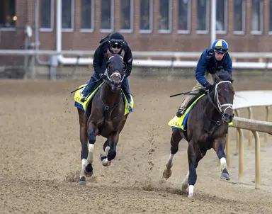 Kentucky Derby: Angel of Empire, Jace's Road work together