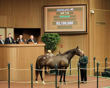 Keeneland November opens with $2.1M topper, big jump in median