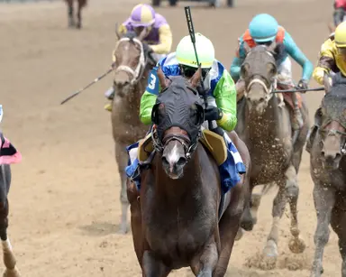 DeVaux taking the long view with So Sandy in allowance
