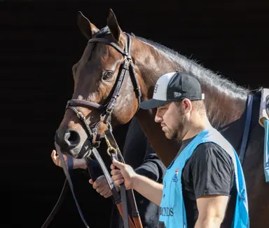 Englishman on course for Pat Day Mile, Reagan's Honor for Blue Grass