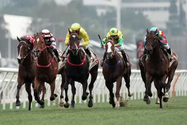 Luke Middlebrook's Hong Kong Selections and Analysis for Wednesday, October 23, 2024