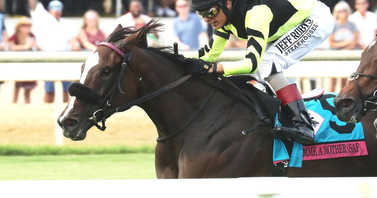 Gimme a Nother on target with neck win in Beverly D. Stakes