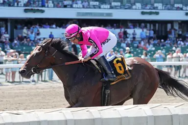 Baby Vino continues to show improvement with Pegasus victory