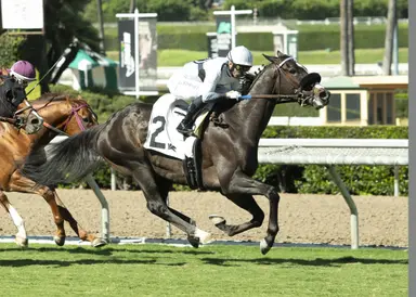 With a $198,741 carryover, pick six will have hefty pool