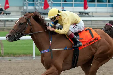 Old Forester, sire of Pink Lloyd, dies at age 23
