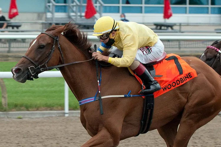 Pink Lloyd wins the 2020 Vigil Stakes at Woodbine Racetrack