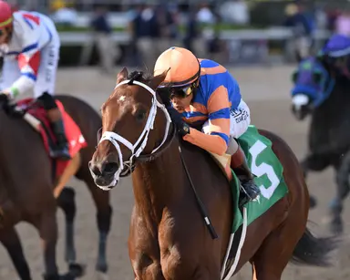 Grande, Statesman likely to hit Kentucky Derby trail