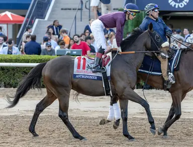 Astronomer to Churchill Downs