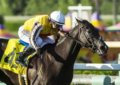 Brad Free's Santa Anita Horses to Watch for the week of April 17-19, 2026