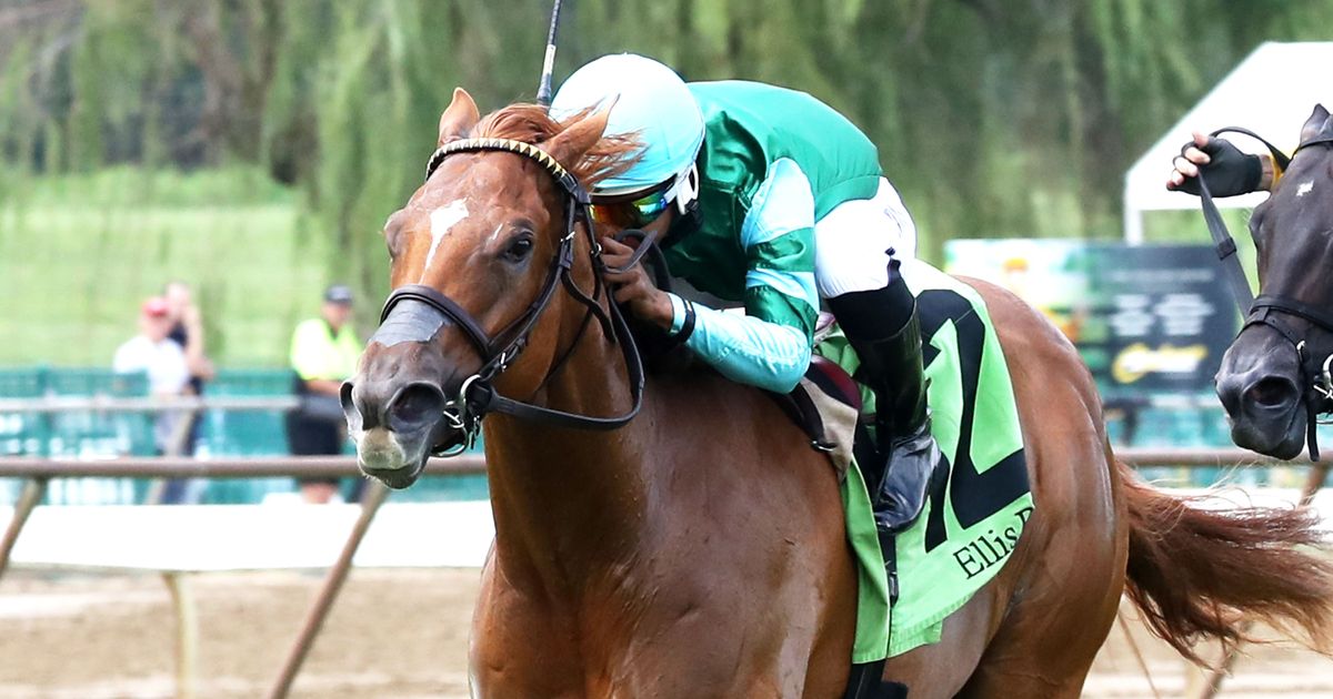Fanshell Beach takes Riverside Rush; Cloe prevails in Hummingbird