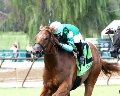 Fanshell Beach takes Riverside Rush; Cloe prevails in Hummingbird